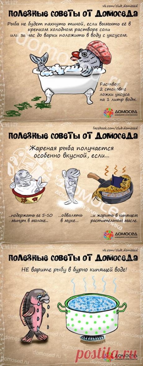 Рыба - полезные советы от домоседа