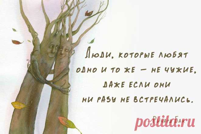 Люди, которые любят одно и то же -  не чужие, даже если они ни разу не встречались.