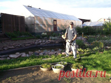 Записки старого ворчуна | Дачный участок