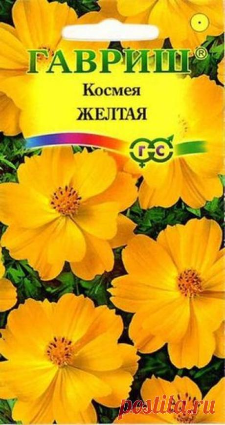 Семена. Космея "Желтая" (вес: 0,3 г) | Купить с доставкой | My-shop.ru