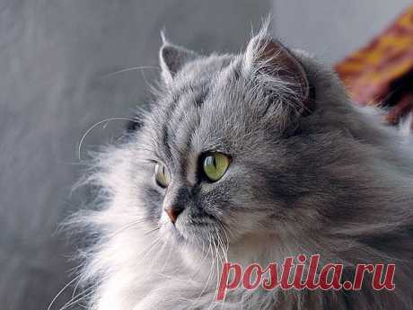 Мой Мир@Mail.Ru