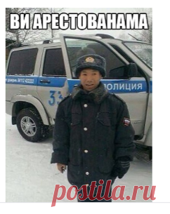Диалоги