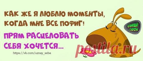 Как же я люблю моменты, когда мне всё пофиг!
Прям расцеловать себя хочется...

Узнай себя ツ