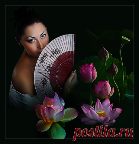 Открытка