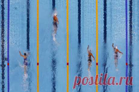 Сборную России по плаванию лишили серебра чемпионата Европы. Сборную России по плаванию лишили серебряных медалей в смешанной кролевой эстафете четыре по 50 метров на чемпионате Европы, проходящем в Казани. Президент Всероссийской федерации плавания Владимир Сальников рассказал, что причиной стало нарушение заявленного порядка расстановки на эстафету.