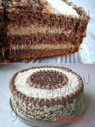 Хорошая кухня - шоколадный торт (по австрийским мотивам). Кулинарная книга рецептов. Салаты, выпечка.