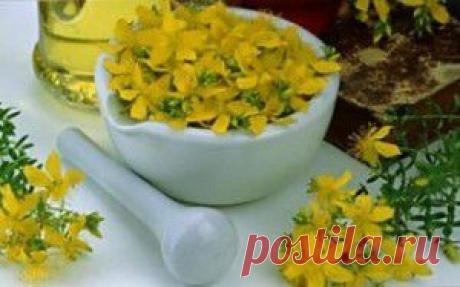 Нетрадиционные методы лечения Чистка печени травами (home.health.metodylechenija) : Рассылка : Subscribe.Ru