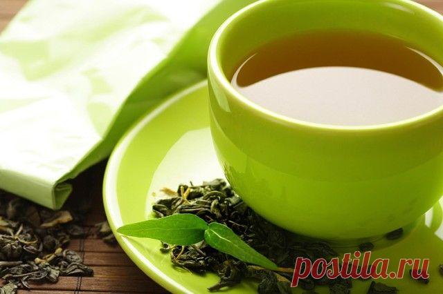 ТРАВЫ ДЛЯ ПОХУДЕНИЯ. ОМЕЛА И ЛИПА