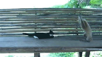 Мой Мир@Mail.Ru