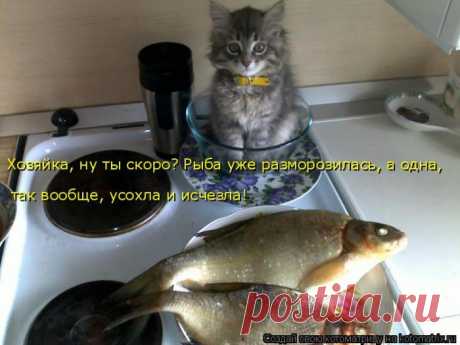 Усохла и исчезла!