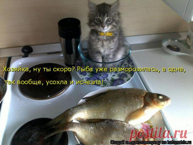 Усохла и исчезла!