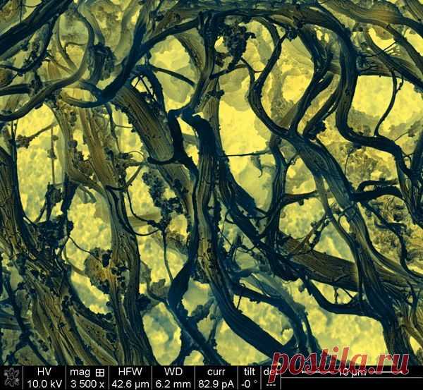 Нейроны / Физика невозможного!