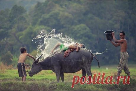 Лучшие фотографии года / Всё самое лучшее из интернета