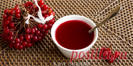 Как приготовить варенье из калины - Круг знаний