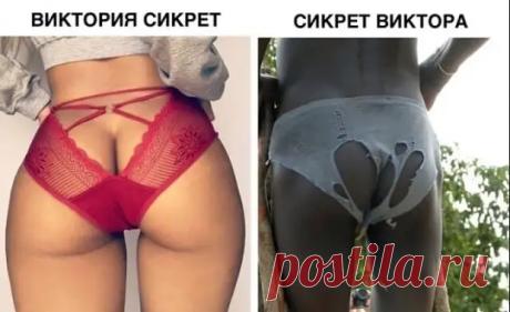 ТУТ ВЕСЕЛО :) - Главная страница - Медиаплатформа МирТесен