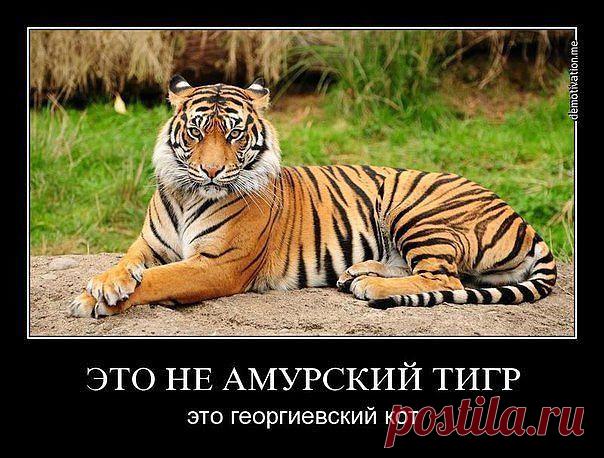 (60) Одноклассники