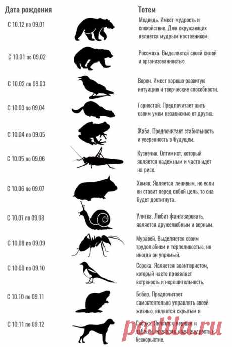ТВОЙ ТОТЕМ ПО ДАТАМ РОЖДЕНИЯ