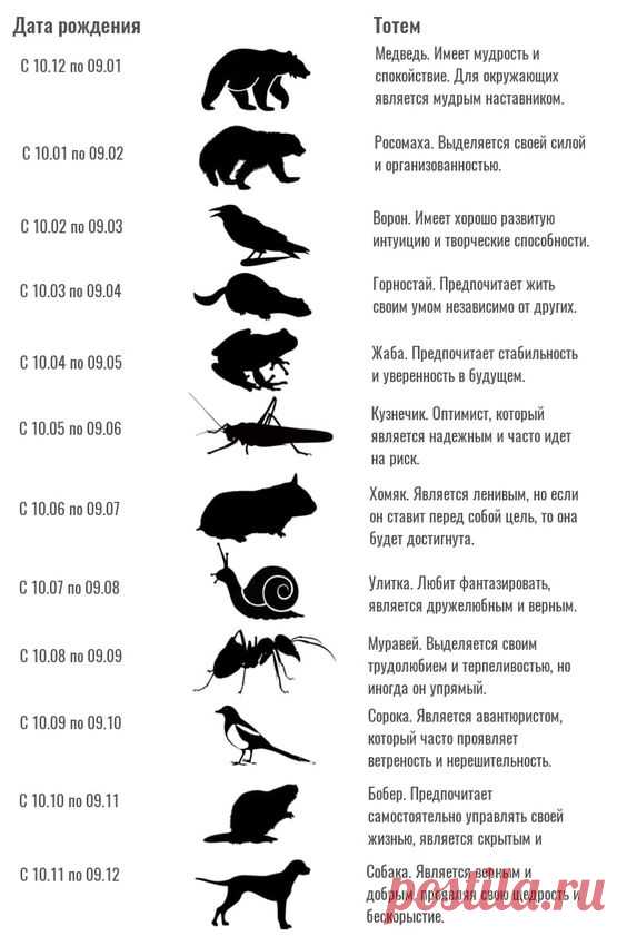 ТВОЙ ТОТЕМ ПО ДАТАМ РОЖДЕНИЯ
