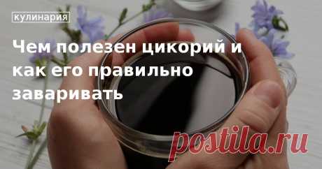 Чем полезен цикорий и как его правильно заваривать. Рецепты, лайфхаки, обзоры и интересные истории из жизни. Все о доме, семье, уюте, готовке, а также рецепты с фото на сайте Едим Дома