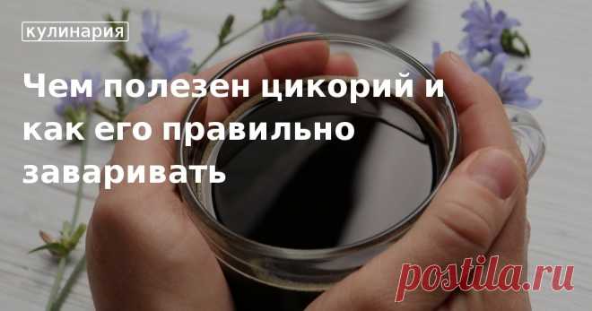 Чем полезен цикорий и как его правильно заваривать. Рецепты, лайфхаки, обзоры и интересные истории из жизни. Все о доме, семье, уюте, готовке, а также рецепты с фото на сайте Едим Дома
