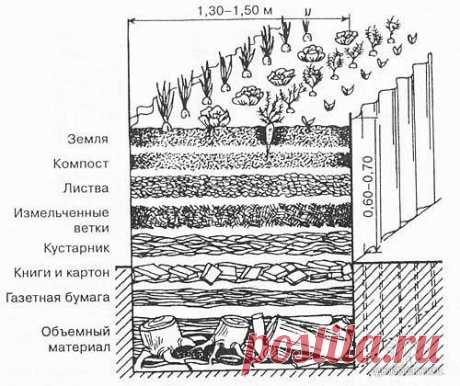 Теплые грядки своими руками: идеи, правила, полезные советы