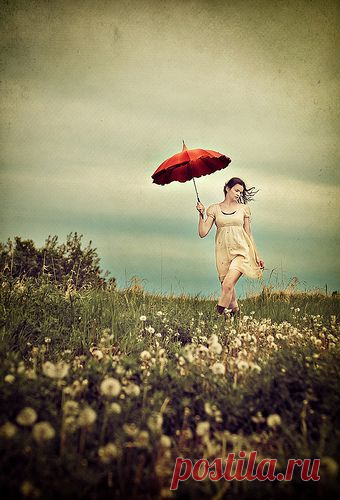 Найдено на сайте flickr.com.