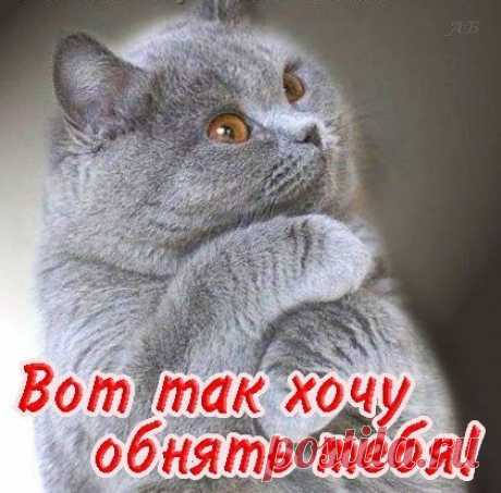 Господи… как по нему я соскучилась… 
Как же минуточку сладкую вымолить??? 
Чтобы сомненья мои улетучились… 
Мне без него не взлететь и не выболеть… 
Как я скучаю по этому голосу… 
Эта тональность и тембр идеальные… 
Где же мои разноцветные полосы? 
Белые с чёрным до боли банальные… 
Как я скучаю по взгляду любимому… 
В нём синева и дождливые россыпи… 
Тянет магнитами к сердцу незримыми… 
Грусть приближается лёгкою поступью…