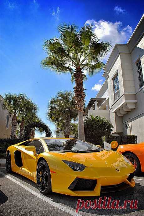 Lamborghini | авто