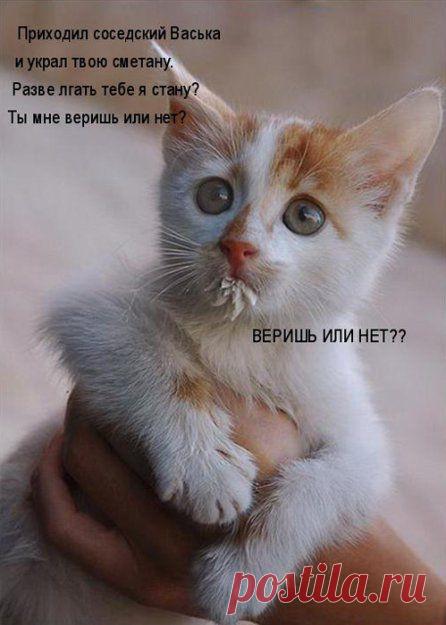 Конечно верю