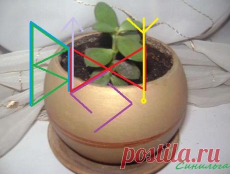 ставы | Записи в рубрике ставы | Дневник ann05