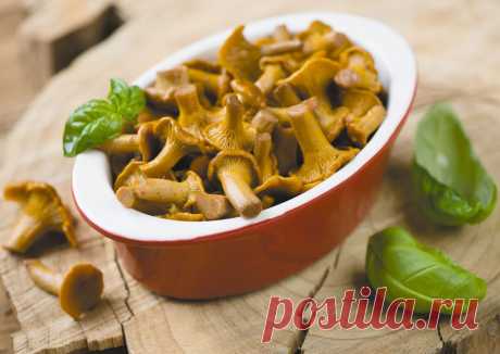 Маринуем грибочки