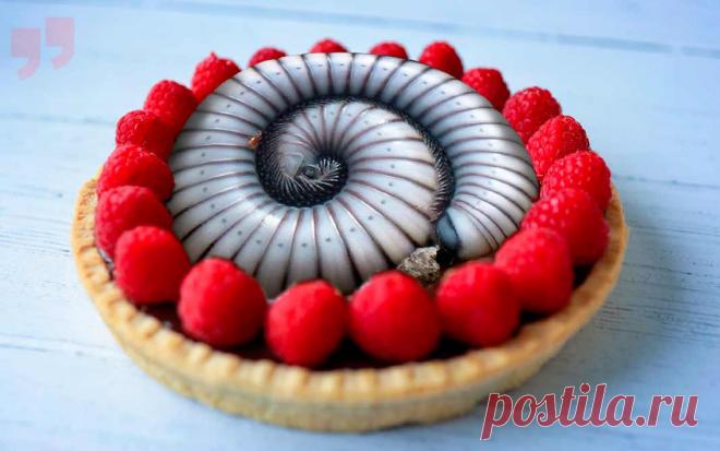 Самые отвратительные деликатесы, которые нужно попробовать Эти отвратительные деликатесы у многих народов очень почитаются, а их приготовление может занимать долгие года. Но есть эти ужасные блюда могут не все...