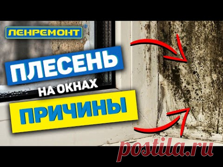 ВАЖНО! Причина плесени на окнах. Штукатурка оконных откосов I Пластиковые окна I Окна ПВХ