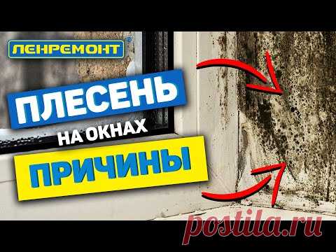ВАЖНО! Причина плесени на окнах. Штукатурка оконных откосов I Пластиковые окна I Окна ПВХ