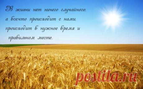 Картинки с надписями. В жизни нет ничего случайного.