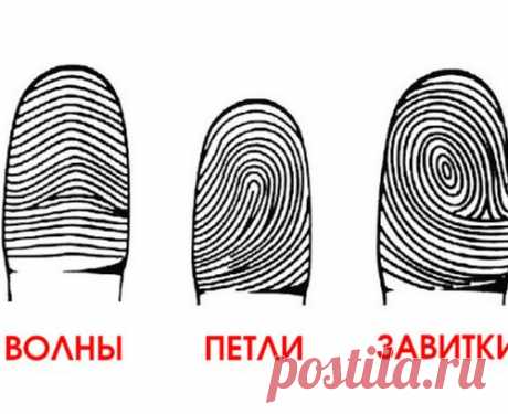 Посмотрите на свои руки: а вдруг вы гений?