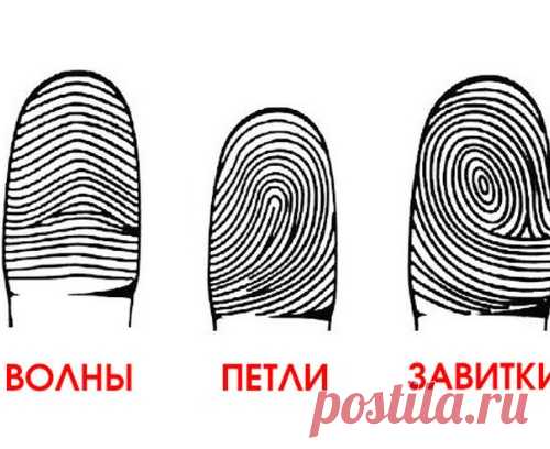 Посмотрите на свои руки: а вдруг вы гений?