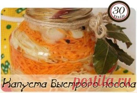 Мои закладки