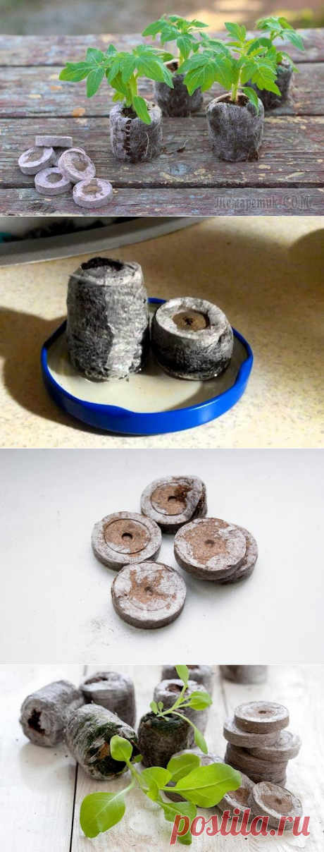 Как правильно использовать торфяные таблетки