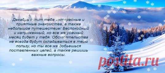 Виктория Спирина