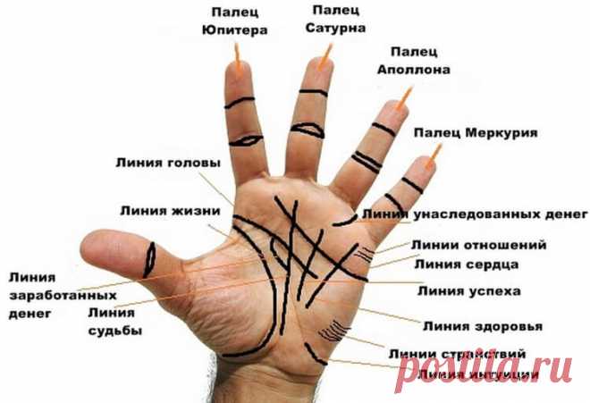 Как прочитать все важные линии на ладони без помощи гадалки