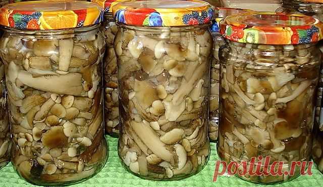 ОПЯТА МАРИНОВАННЫЕ, И ДРУГИЕ ОТМЕННЫЕ ГРИБЫ !!! **Отвари 3р по 15мин, каждый раз откидывая в дуршлаг, промой -будут белее. В 4раз отмерь воду стаканами,  покрыв грибы, и клади остальное. *На каждые 2ст воды: соль 1ст/л, сахар 1ст/л, уксус 4ст/л, лим/кислоты 1щеп, лавр 2шт, гор/перец 3-4шт. *Кипяти всё 5мин, и по банкам, плотно закрутив или закатай.