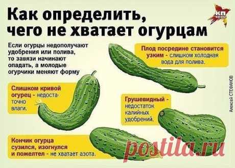 Полезно!