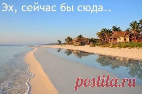 Василий Тимошин vasiliy-timoshin (Vasilek), Москва, Россия на Мой Мир@Mail.RU