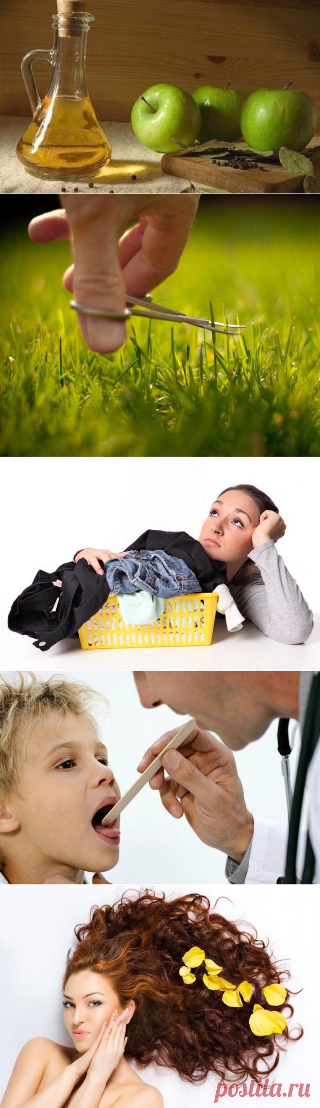 Как использовать уксус в быту / Все для женщины
