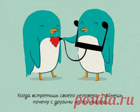 Цитаты, умные мысли / Pinme