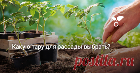 Какую тару для рассады выбрать? Мы проведем краткий обзор того, что сегодня можно купить для выращивания рассады на окне, рассматривая не только плюсы, но и минусы каждой категории тары для рассады.