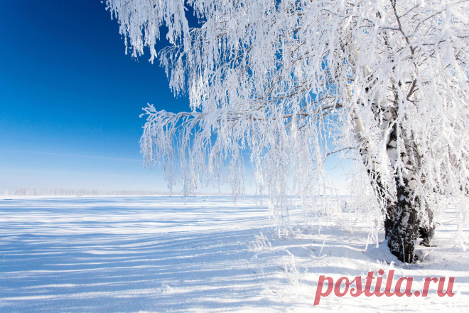 500px / Great Winter by Denis Belyaev
