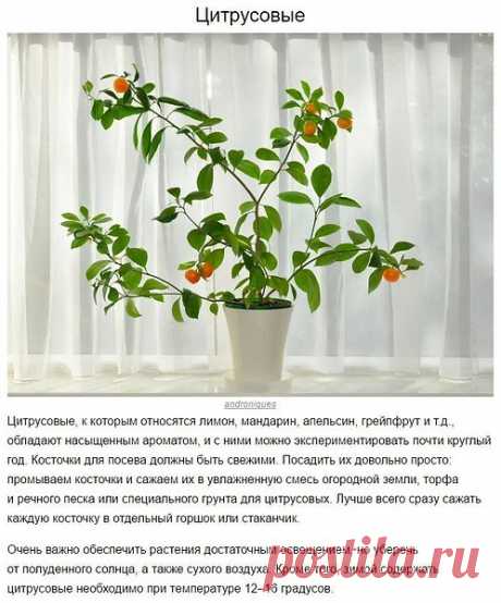 Галина Евстафьева: каждый прожитый день несет с собой новые возможности....