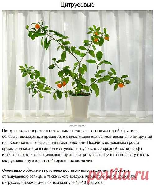 Галина Евстафьева: каждый прожитый день несет с собой новые возможности....